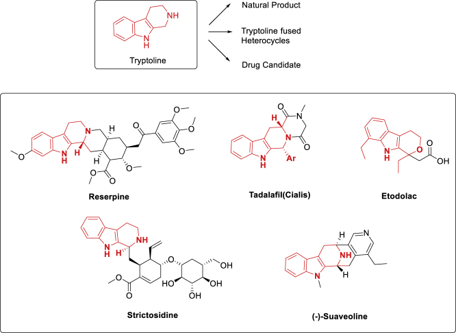 Figure 1