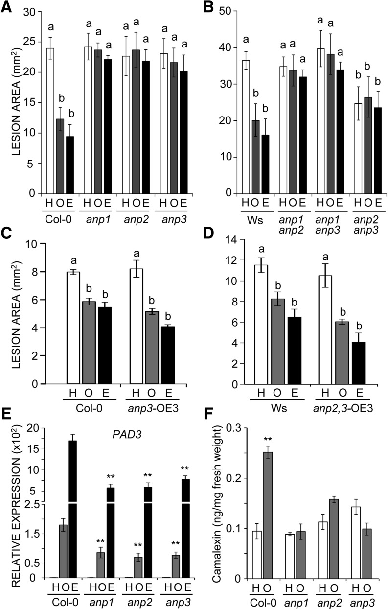 Figure 5.