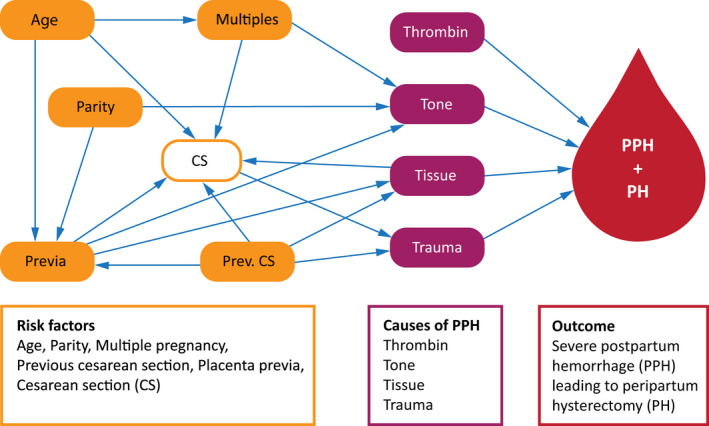 FIGURE 1