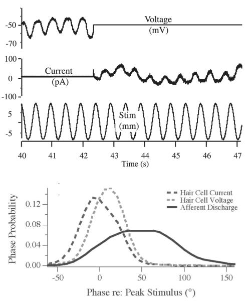 FIG. 8