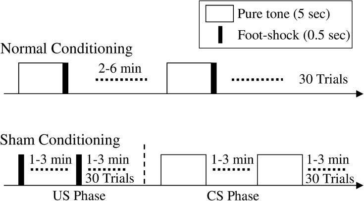 Fig. 1