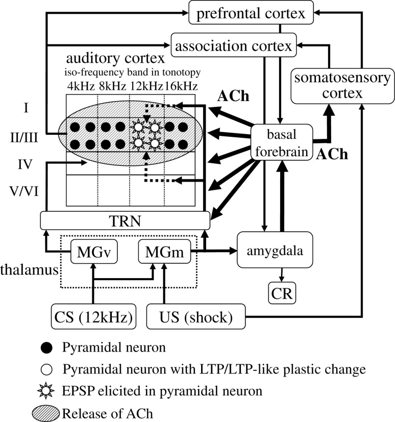 Fig. 9