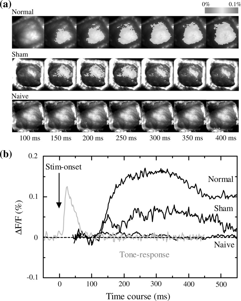 Fig. 4