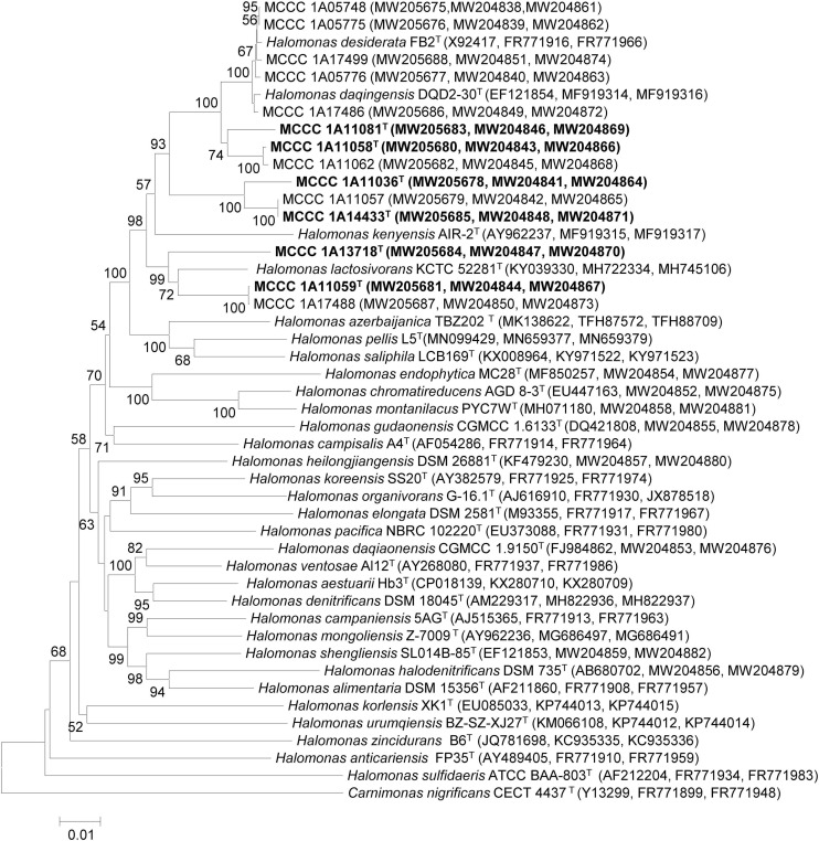 FIGURE 1