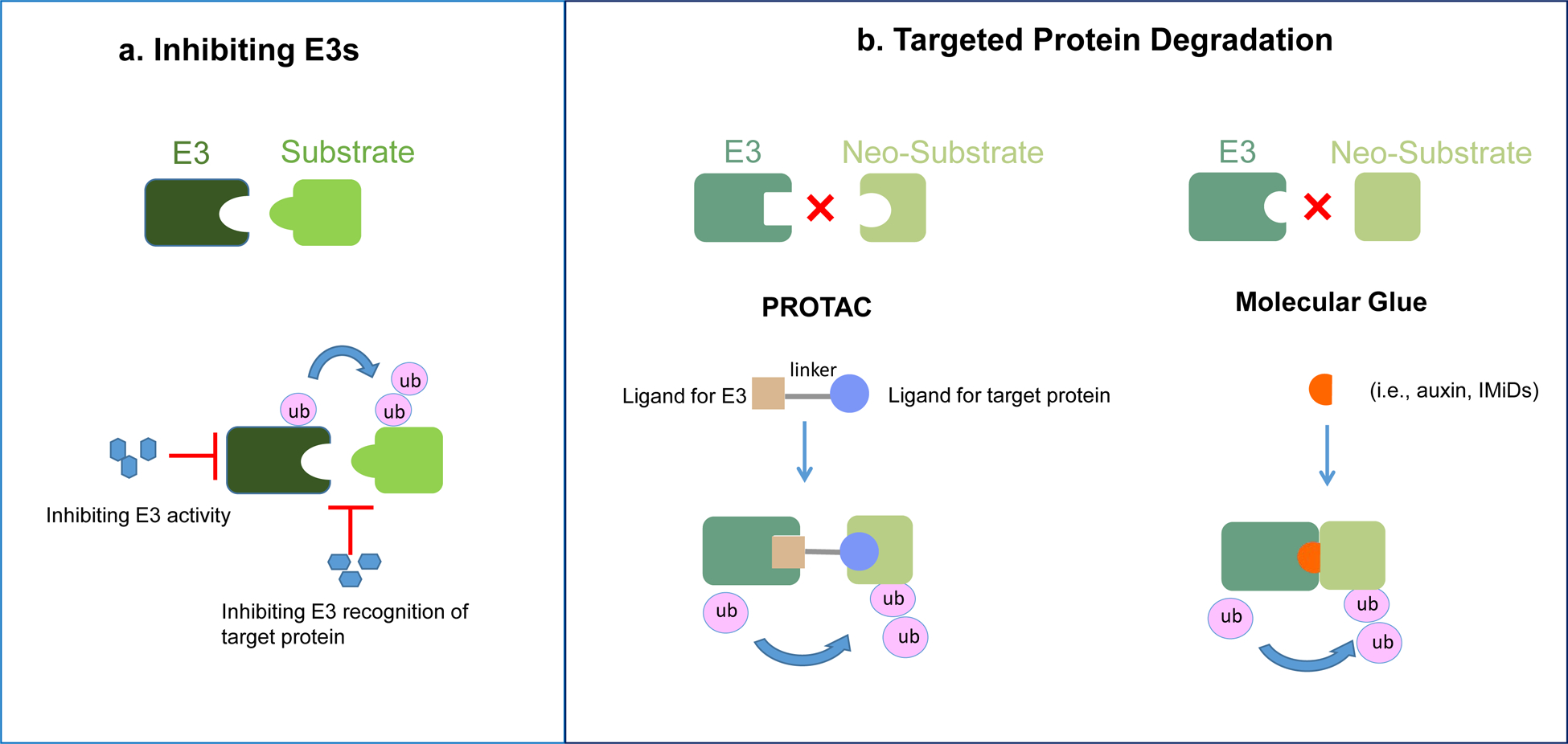 Figure 3: