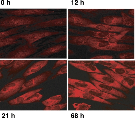 FIG. 7.