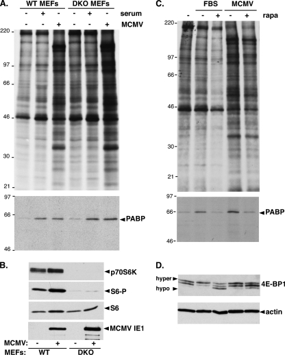 FIG. 5.