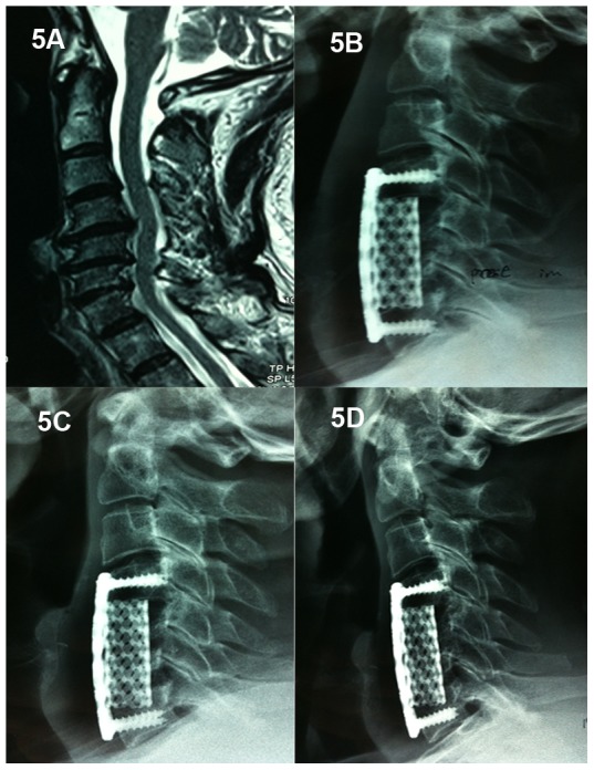 Figure 5