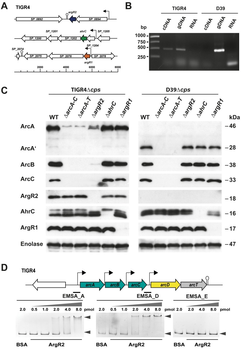 FIG 3 