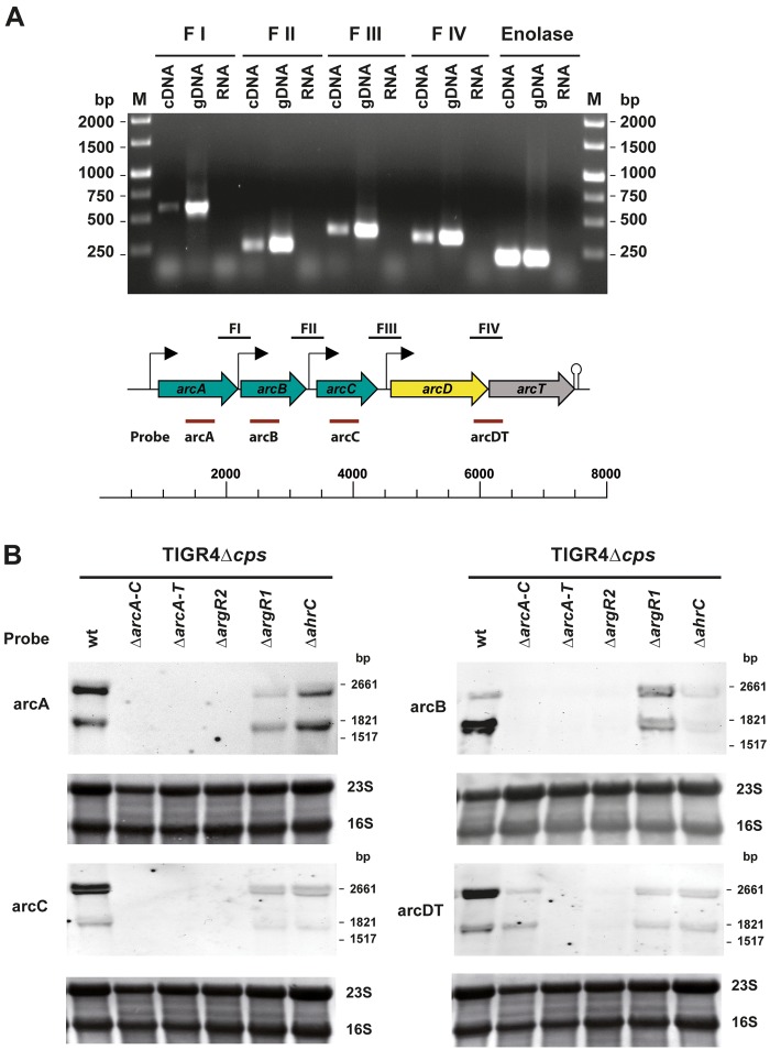 FIG 2 