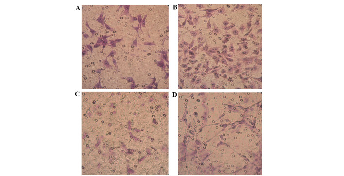 Figure 5.