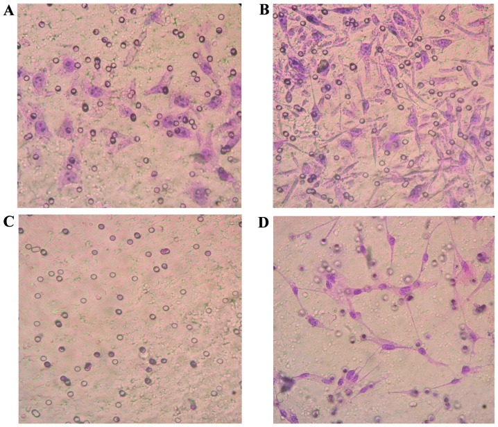 Figure 4.