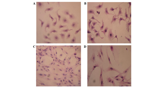 Figure 2.