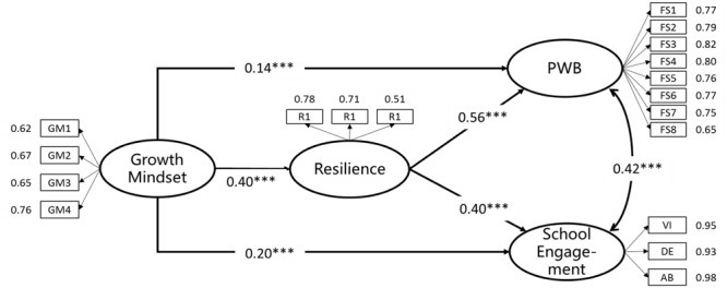 FIGURE 1