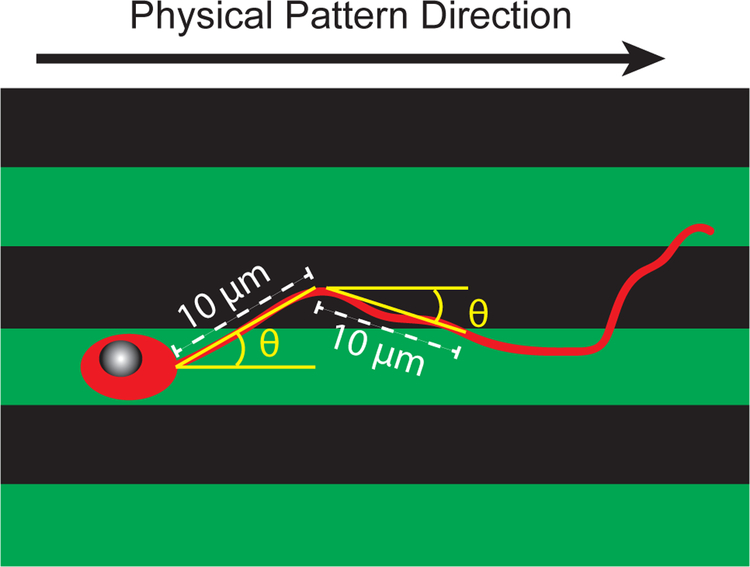 Figure 4: