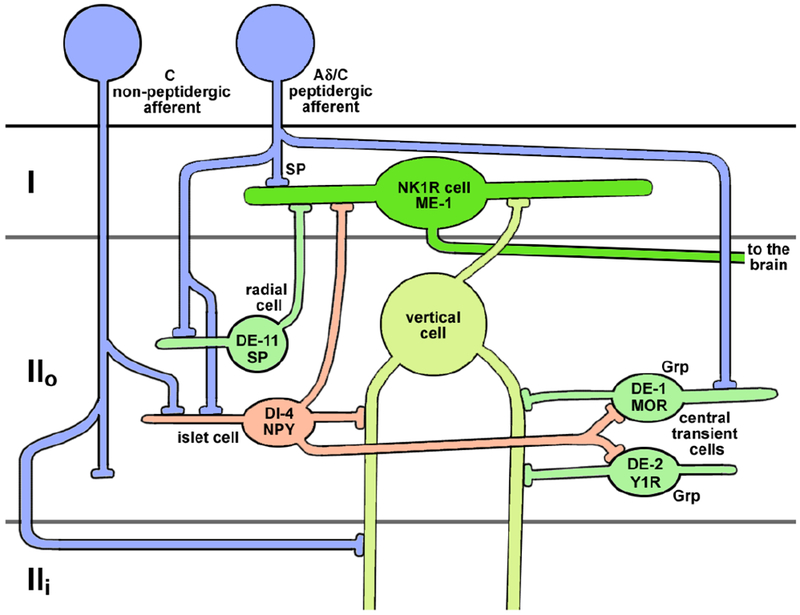 Figure 10 -