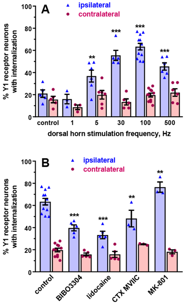 Figure 6 -