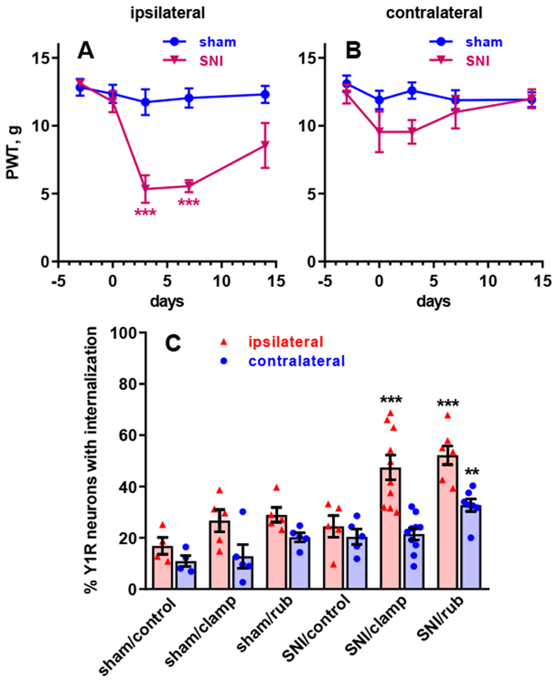 Figure 9 -