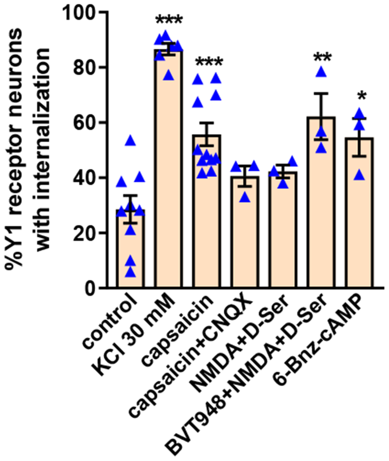 Figure 5 -