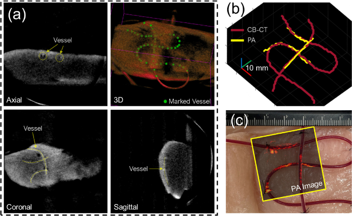 Fig. 9.