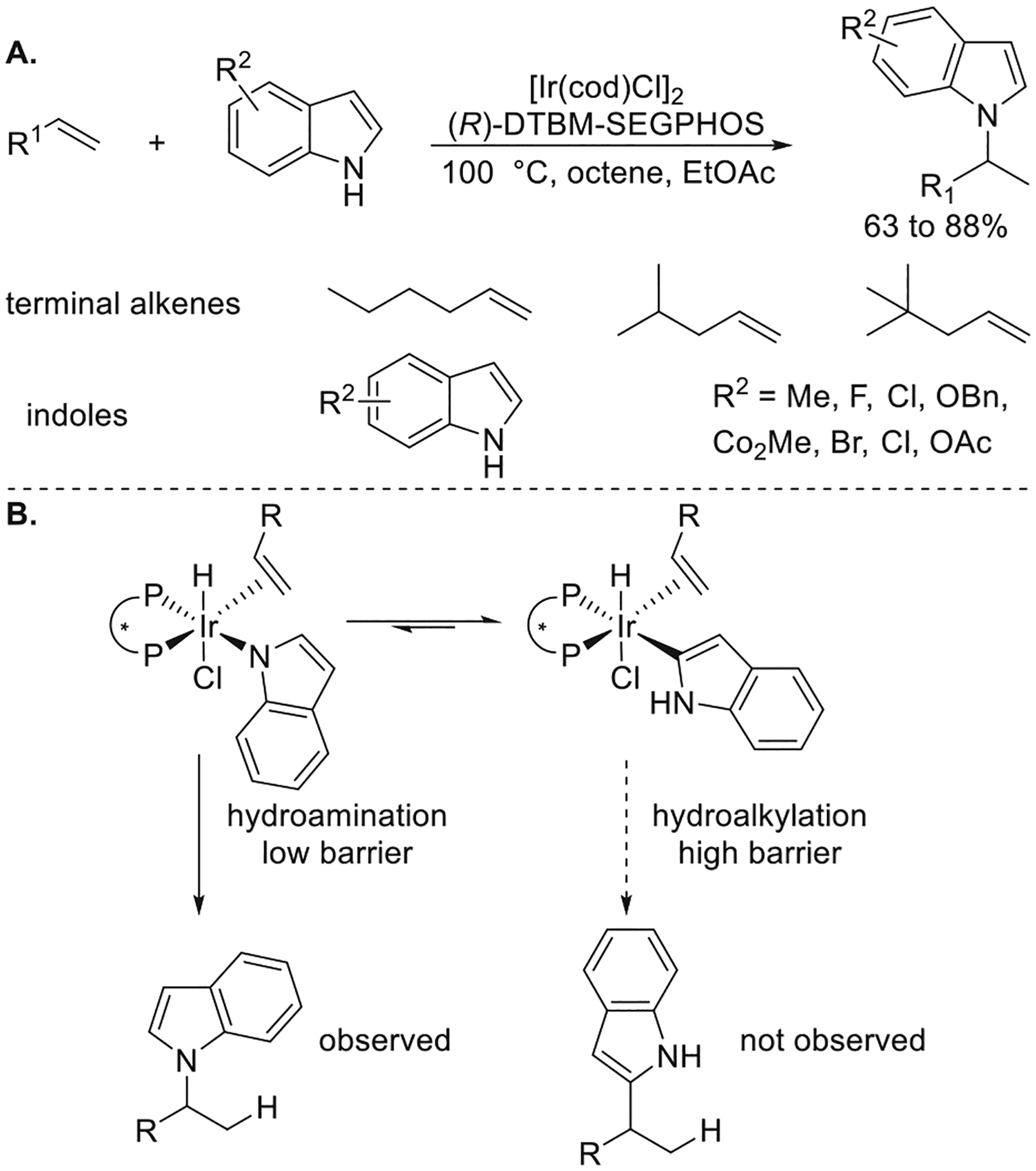 Figure 13.