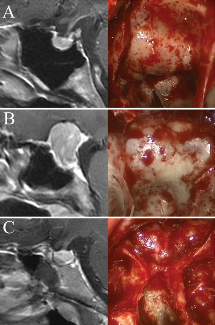 Fig. 9