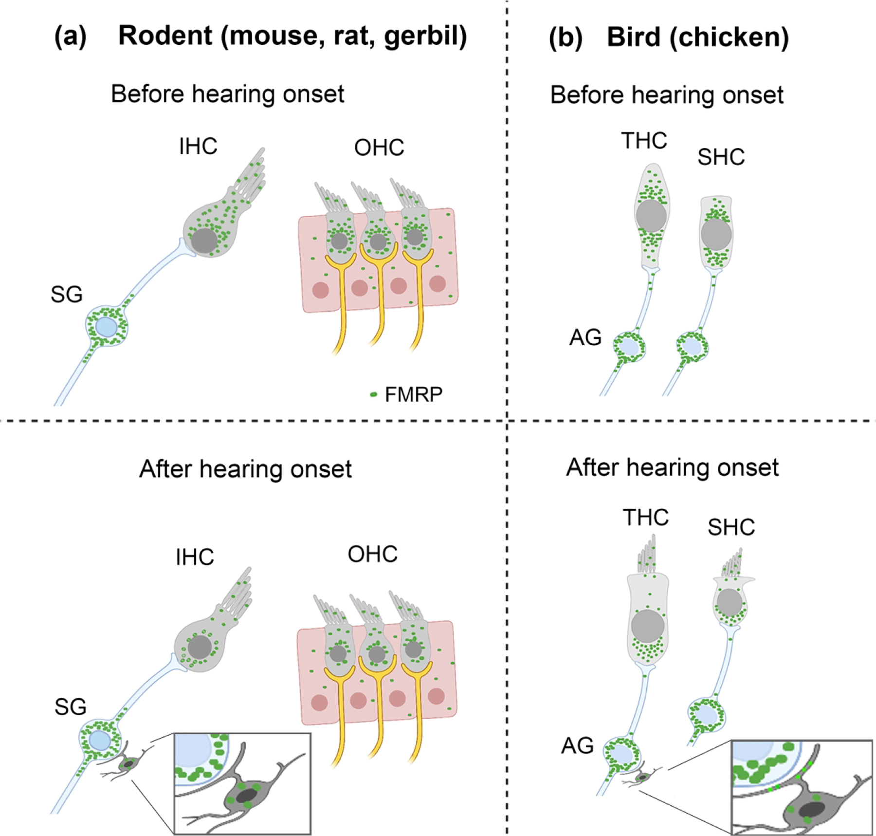 Figure 16.