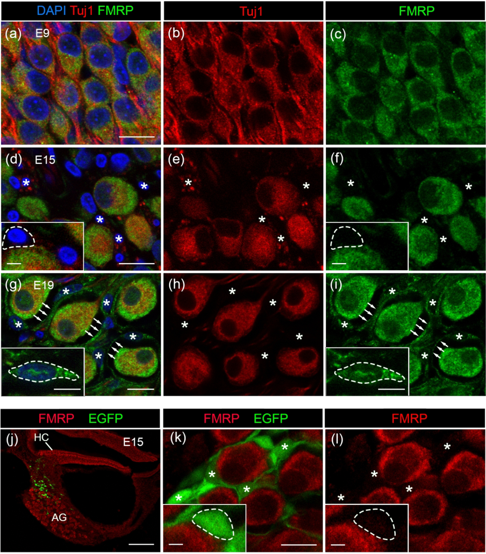 Figure 14.