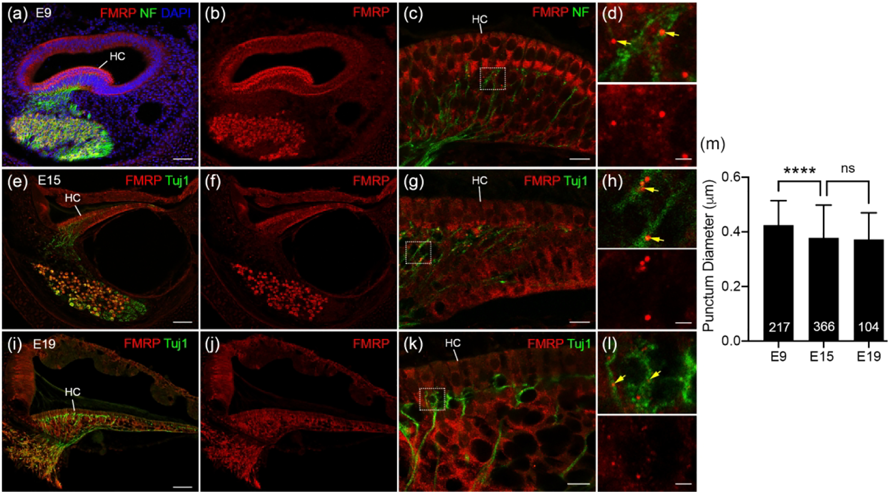 Figure 15.