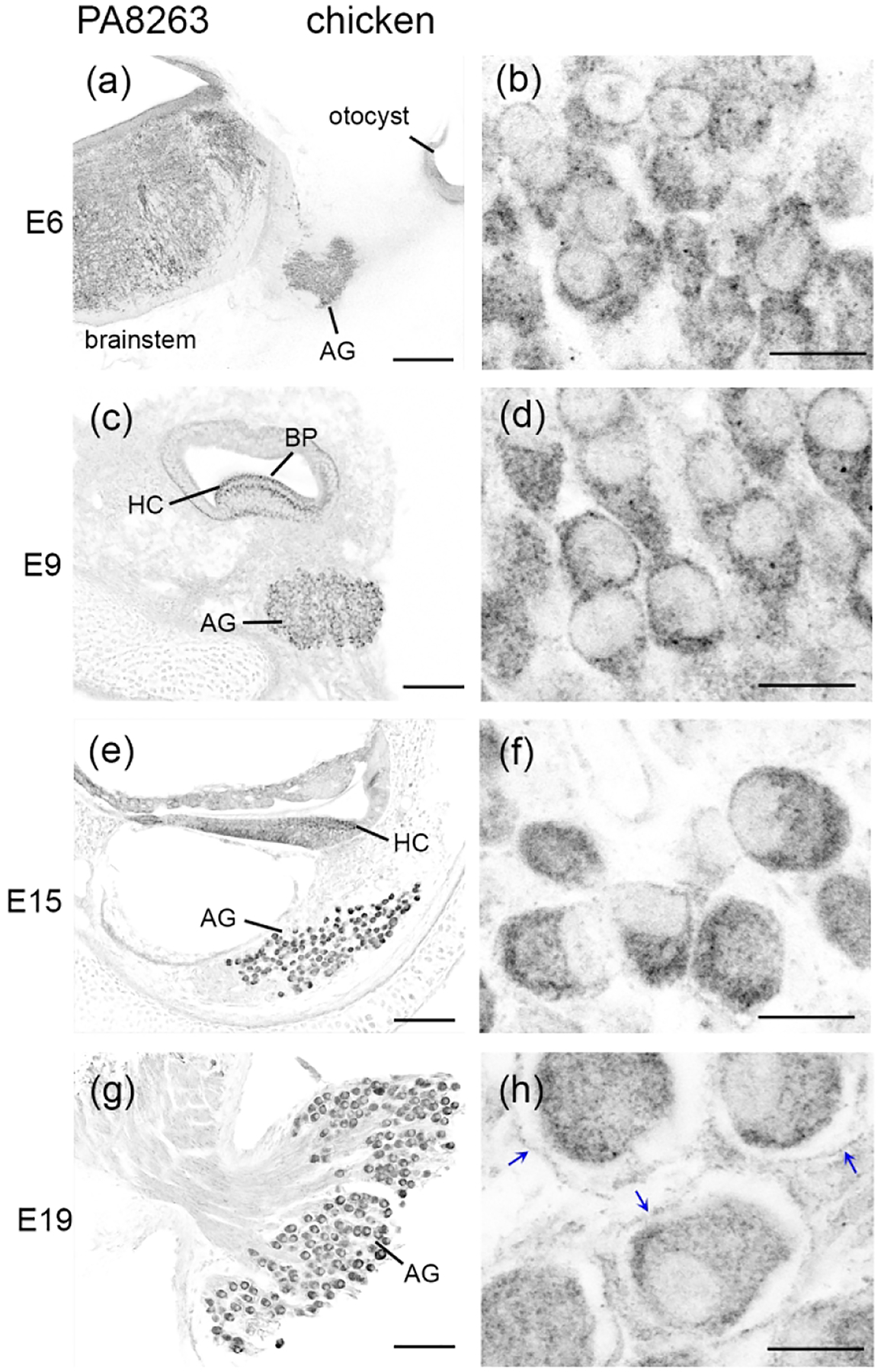 Figure 13.