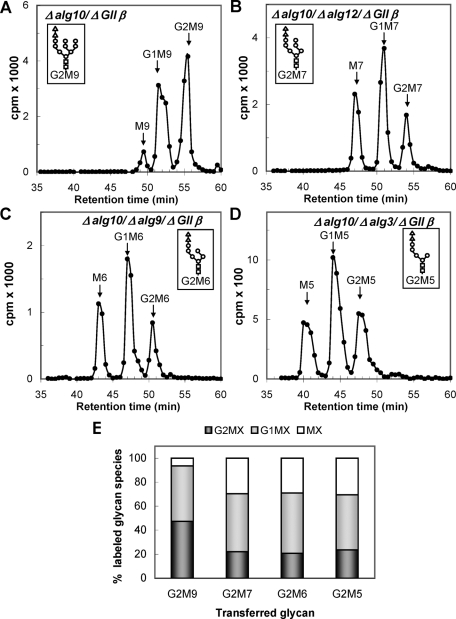 FIGURE 4: