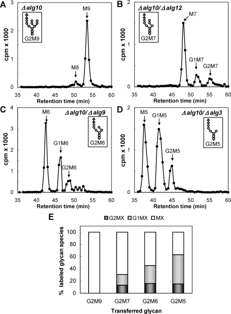 FIGURE 2: