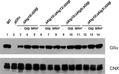 FIGURE 3: