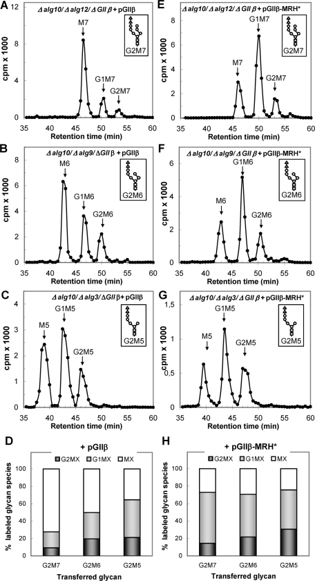 FIGURE 5: