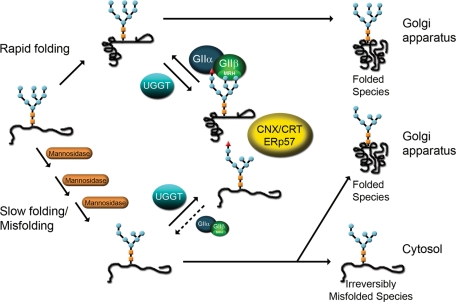 FIGURE 9: