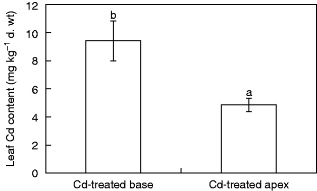 Fig. 4.