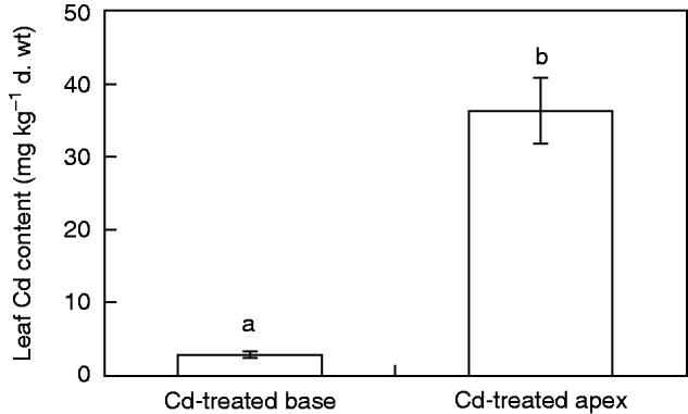 Fig. 5.