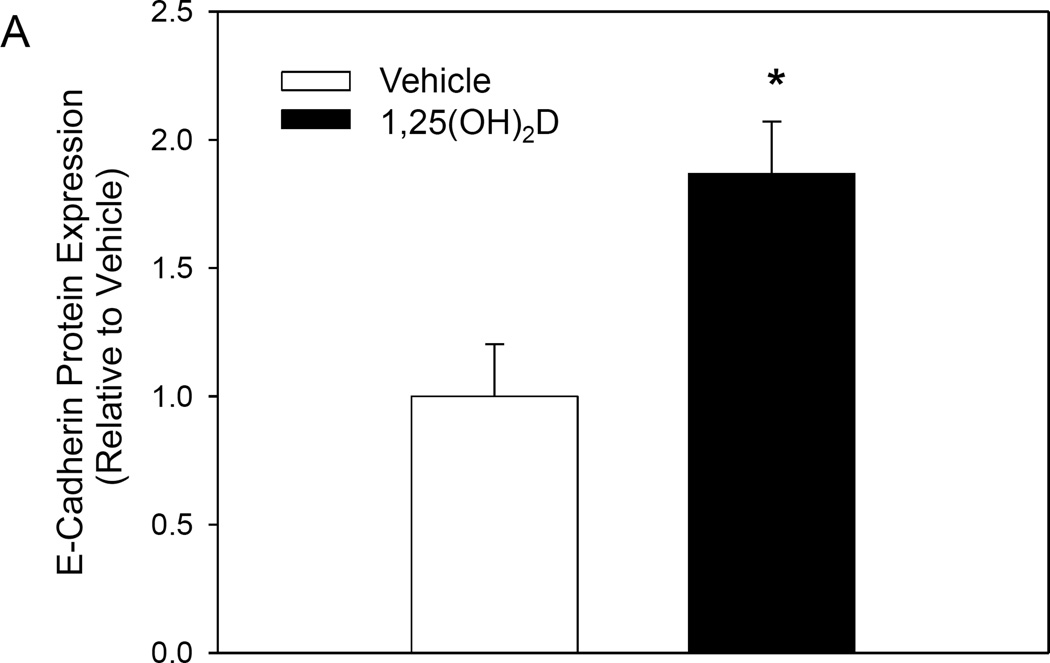 Fig. V