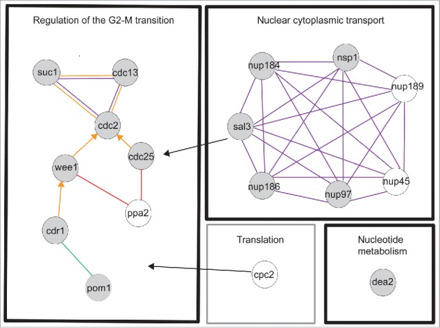 Figure 2.