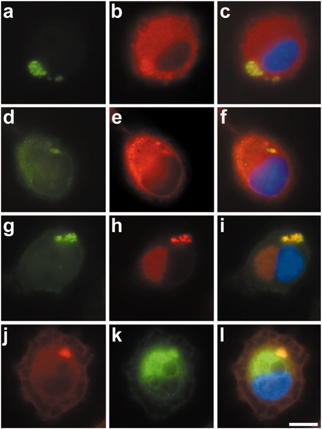 Figure 10.