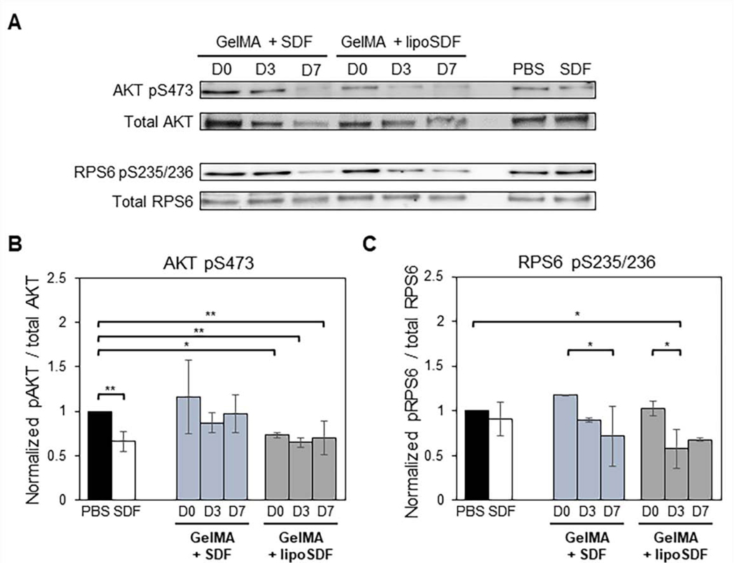 Figure 6: