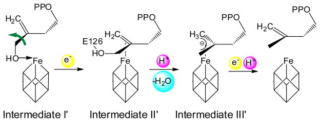 Scheme 6