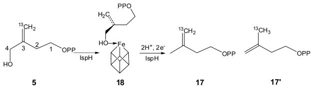 Scheme 5