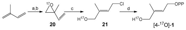 Scheme 8