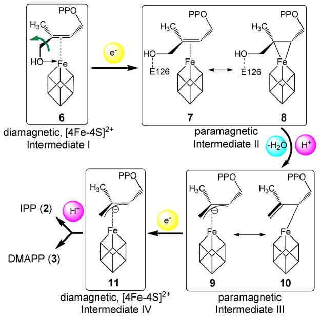 Scheme 2