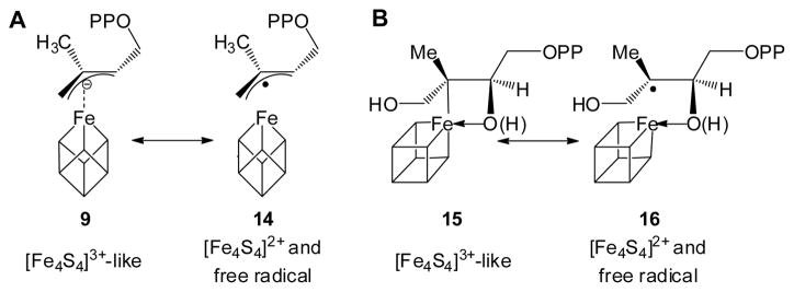 Scheme 4