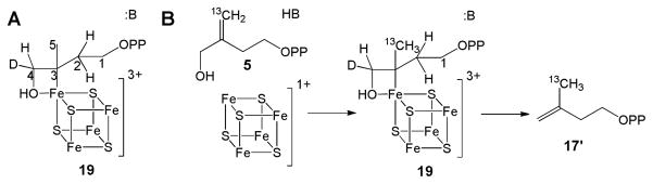 Scheme 7