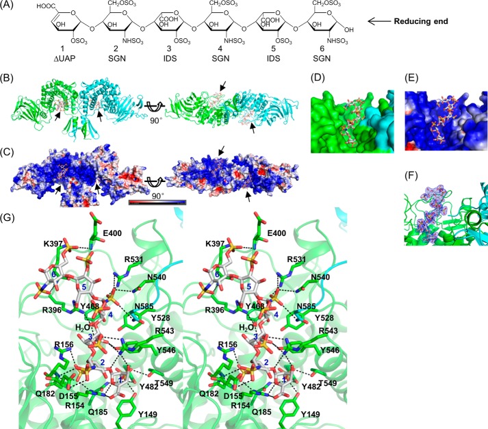 FIGURE 3.