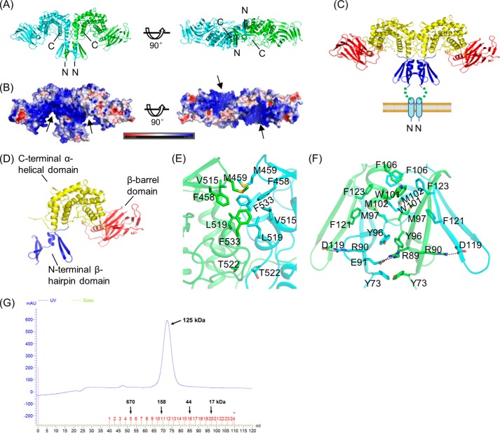 FIGURE 2.