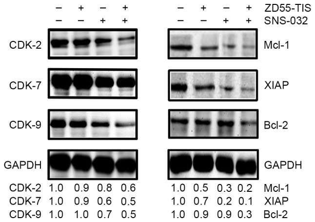 Figure 4.